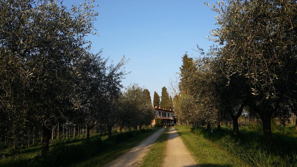 Artenatura Beb Terranuova Bracciolini Exterior foto